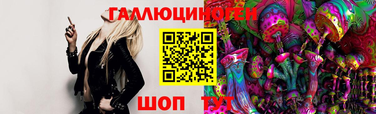 Сердобск  Псилоцибиновые грибы Psilocybe  Вход с VPN 